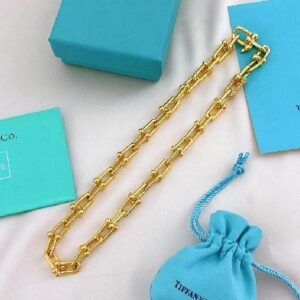 horseshoe necklace with diamonds [thick chain]