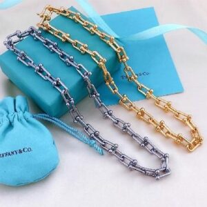 horseshoe necklace without diamonds [thick chain]